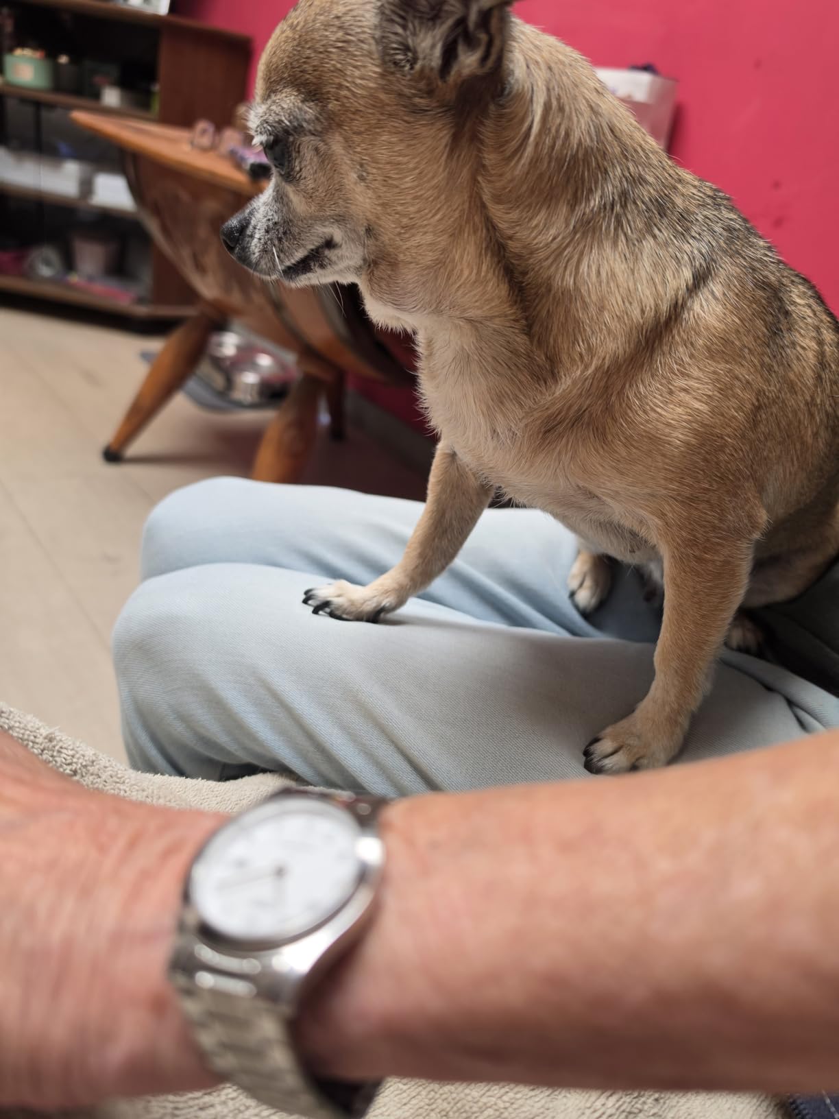 Schöne Uhr für den Alltag